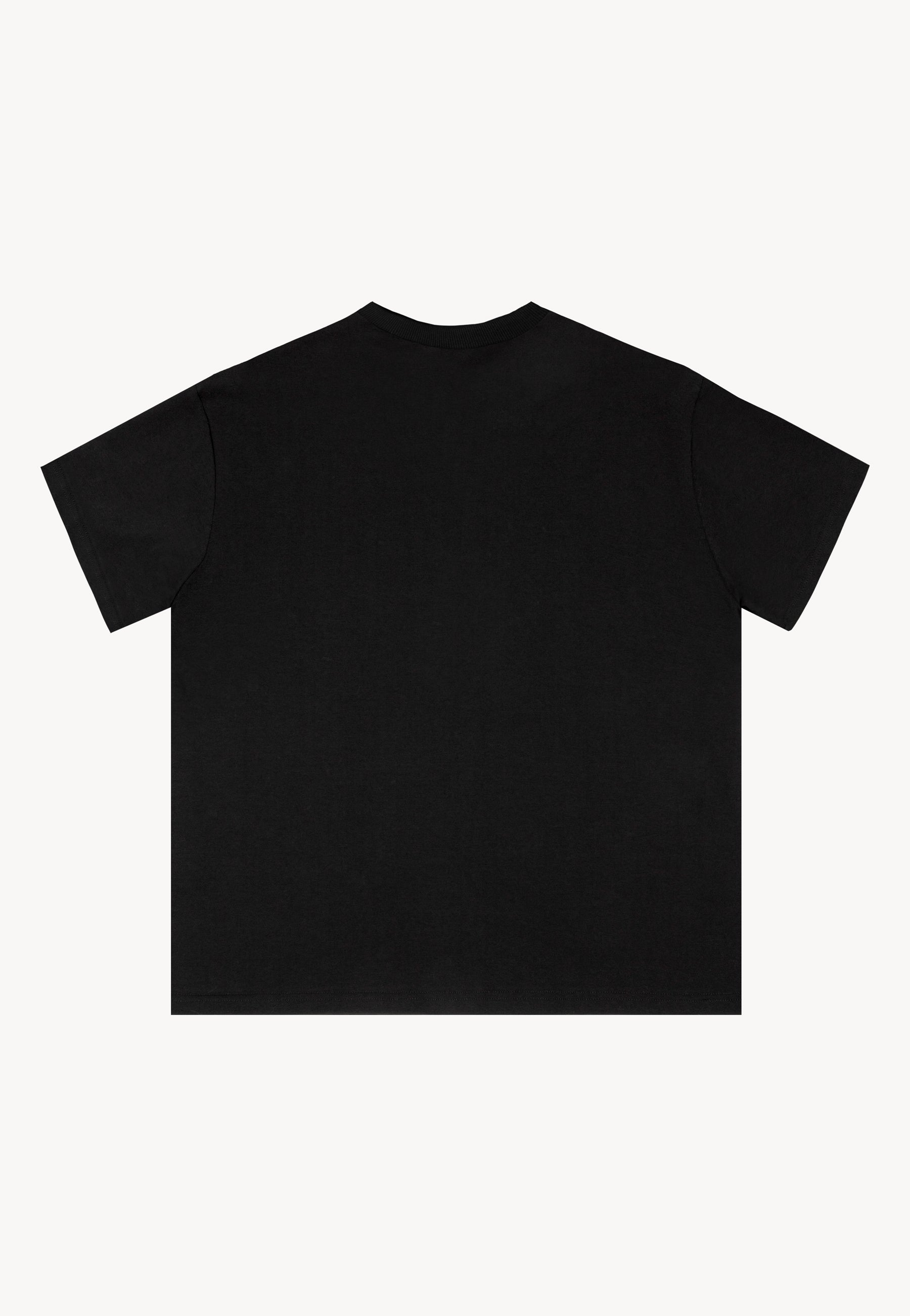 Tył czarnego bawełnianego T-shirtu TISHAL.